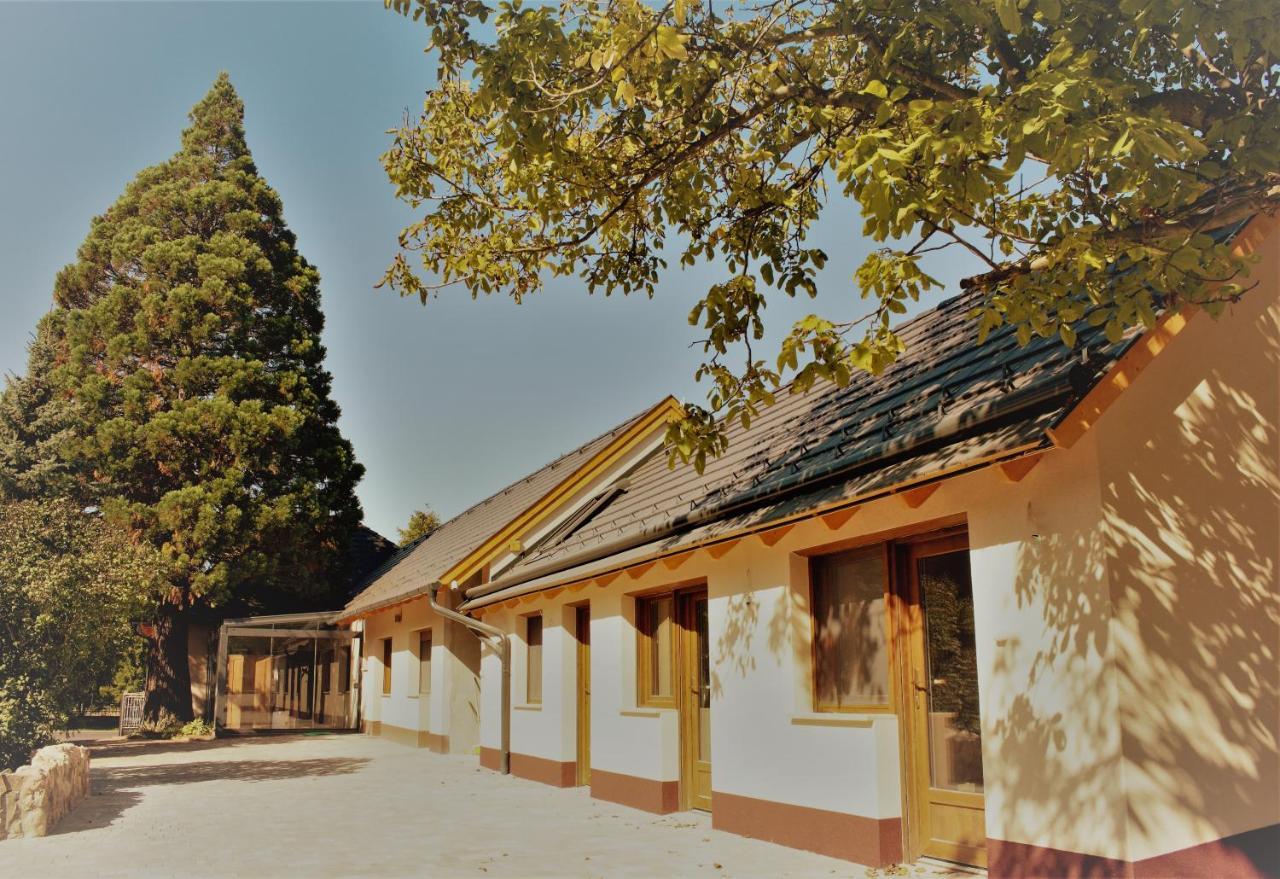 塔塔Mamutfenyo Panzio住宿加早餐旅馆 外观 照片