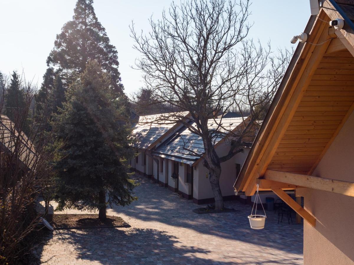 塔塔Mamutfenyo Panzio住宿加早餐旅馆 外观 照片